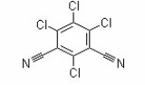 Chlorothalonil 